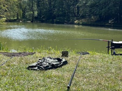 Cliquez pour découvrir toutes les photos de l'ÉTABLISSEMENT ! camping Les Petites Minaudieres photo 30