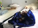 Cliquez pour découvrir toutes les photos de l'HÉBERGEMENT ! mobil-home - camping Paradis - De La Motte photo 5