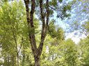 camping La Petite Boulogne photo 4