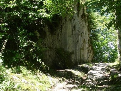 Cliquez pour découvrir toutes les photos de l'ÉTABLISSEMENT ! camping De La Forêt photo 27