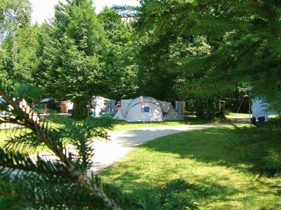 Cliquez pour découvrir toutes les photos de l'ÉTABLISSEMENT ! camping De La Forêt photo 7