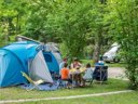 Cliquez pour découvrir toutes les photos de l'ÉTABLISSEMENT ! camping De La Forêt photo 4
