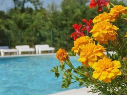 Camping Pas Cher vous présente avec son site Officiel campingpascher.fr, le Camping Flower Les 3 Ours classé 3 étoiles, situé sur la commune de Montbarrey dans le département Jura (Franche Comté) en France. Le camping Flower Les 3 Ours, vous présente un hébergement de type tente de 40 m². Le camping Flower Les 3 Ours vous propose du mardi 26 mai au mardi 02 juin 2026 pour 7 nuits à 307€. Cette location propose 67 dates différentes pour réserver votre séjour. Découvrez également les 6 autres gammes d'hébergements du camping. Les Avis clients pour le Camping Flower Les 3 Ours sont excellents avec une note moyenne de 8 sur 10. Rivière, Piscine extérieure, Animation enfants, Aire de jeux enfants, Canoë-kayak, Cyclisme, Ping-pong, Pétanque, Randonnée, Trampoline,... En savoir plus : cliquez-ICI.