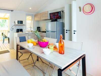 Cliquez pour découvrir toutes les photos de l'HÉBERGEMENT ! mobil-home - Du Vieux Château photo 2