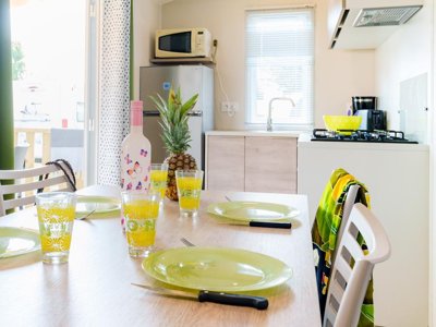 Cliquez pour découvrir toutes les photos de l'HÉBERGEMENT ! mobil-home - Du Vieux Château photo 3
