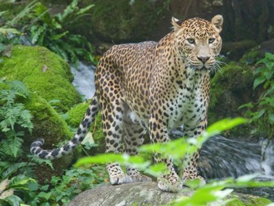 camping La Vallée Des Vignes photo 14