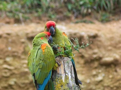 camping La Vallée Des Vignes photo 15