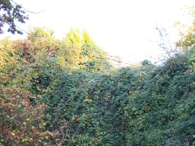 camping La Vallée Des Vignes photo 17