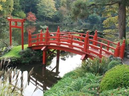 Camping Pas Cher vous présente avec son site Officiel campingpascher.fr, le Camping La Vallée Des Vignes classé 4 étoiles, situé sur la commune de Concourson Sur Layon dans le département Maine-et-loire (Pays De La Loire) en France. Le camping La Vallée Des Vignes vous propose un hébergement de type mobil-home de 32 m² pour 8 personnes (télévision). L'établissement vous propose 7 autres types d'hébergements. Découvrez tous nos séjours à petits prix dans la commune et aux alentours de Concourson Sur Layon du département : Maine-et-loire (Pays De La Loire). Les Avis clients pour le Camping La Vallée Des Vignes sont excellents avec une note moyenne de 8 sur 10. Piscine chauffée, Piscine extérieure, Animation ados, Animation enfants, Animations familiales, Aire de jeux enfants, Baby-foot, Ping-pong, Piscine, Pétanque, Structure gonflable enfants, Terrain de badminton, Terrain de basketball, Terrain de football, Terrain de volley-ball, Trampoline, Bar, Dépôt de pain, Food truck, Restaurant, Supermarché, Épicerie,... En savoir plus : cliquez-ICI.