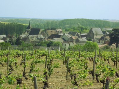 camping Romanée - Les Cochards photo 13