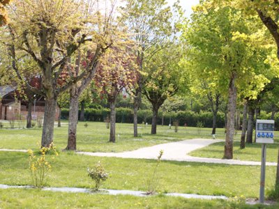 camping Romanée - Les Cochards photo 14