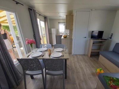 Cliquez pour découvrir toutes les photos de l'HÉBERGEMENT ! mobil-home - Flower Loire Et Châteaux photo 10
