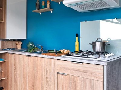 Cliquez pour découvrir toutes les photos de l'HÉBERGEMENT ! mobil-home - Flower Loire Et Châteaux photo 4