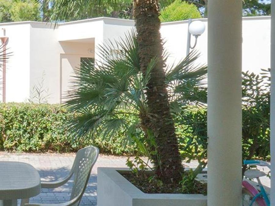 Camping Pas Cher vous présente avec son site Officiel campingpascher.fr, le Camping Villaggio Spiaggia Lunga, situé sur la commune de Vieste dans le département Foggia (Pouilles) en Italie. Le camping Villaggio Spiaggia Lunga, vous présente un hébergement de type bungalow de 26 m² avec climatisation et télévision. Le camping Villaggio Spiaggia Lunga vous propose du sam. 04 juillet au sam. 11 juillet 2026, en promotion à -9% pour 7 nuits à 1011,10 € au lieu de 1114,0 € soit une Économie de 102,90 €. Cette location propose 7 dates différentes pour réserver votre séjour. Découvrez également les 8 autres gammes d'hébergements du camping. Mer, Piscine extérieure, Animations familiales, Club ados, Club enfants, Aire de jeux enfants, Canoë-kayak, Court de tennis, Paddle, Planche à voile, Pédalo, Pétanque, Randonnée, Surf, Terrain de beach-volley, kiteSurf, Bar, Pizzeria, Supermarché,... En savoir plus : cliquez-ICI.