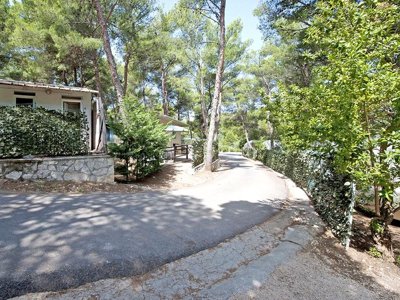 Cliquez pour découvrir toutes les photos de l'ÉTABLISSEMENT ! camping Villaggio Punta Lunga photo 13