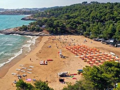 Cliquez pour découvrir toutes les photos de l'ÉTABLISSEMENT ! camping Villaggio Punta Lunga photo 16