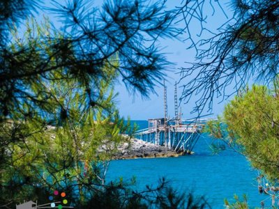 Cliquez pour découvrir toutes les photos de l'ÉTABLISSEMENT ! camping Villaggio Punta Lunga photo 20