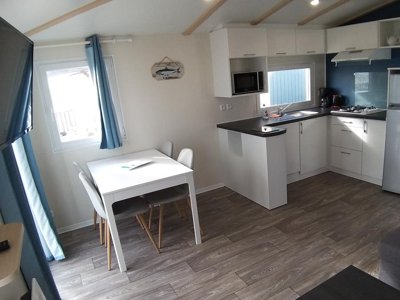 Cliquez pour découvrir toutes les photos de l'HÉBERGEMENT ! mobil-home - La Falaise photo 2