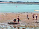 Cliquez pour découvrir toutes les photos de l'ÉTABLISSEMENT ! camping La Falaise photo 6
