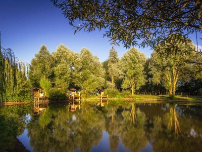 Cliquez pour découvrir toutes les photos de l'ÉTABLISSEMENT ! camping Sites Et Paysages - L'Etang De Brissac photo 15