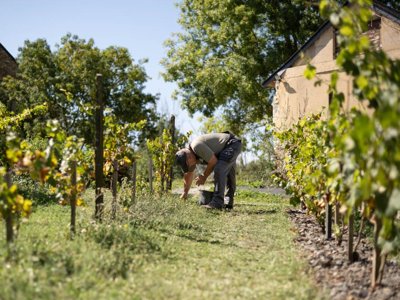 mobil-home - Sites Et Paysages - L'Etang De Brissac photo 13