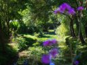 mobil-home - camping Sites Et Paysages - L'Etang De Brissac photo 6