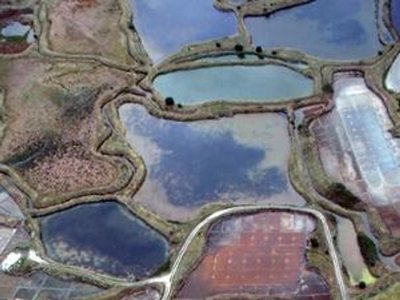 camping Bontempo Village Piriac photo 28