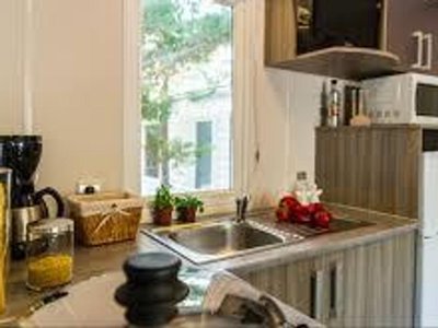 Cliquez pour découvrir toutes les photos de l'HÉBERGEMENT ! mobil-home - Flower Les Granges photo 3