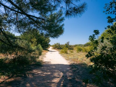 camping Les Varennes photo 15