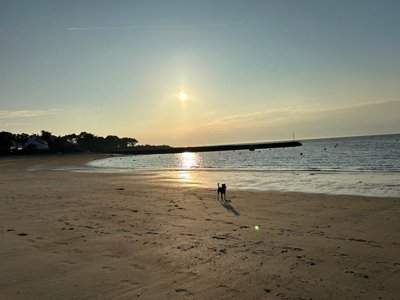 Cliquez pour découvrir toutes les photos de l'ÉTABLISSEMENT ! camping Au Soir D'ete photo 20
