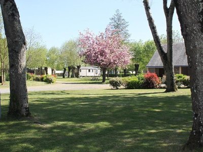 établissement Flower Du Port Caroline photo 12