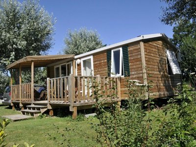 établissement Flower Du Port Caroline photo 17