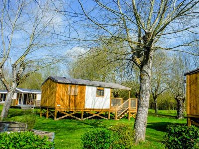 établissement Flower Du Port Caroline photo 19