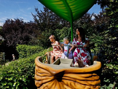 établissement Flower Du Port Caroline photo 24