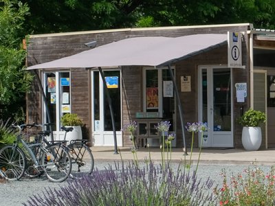 établissement Flower Du Port Caroline photo 27