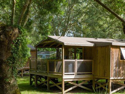 établissement Flower Du Port Caroline photo 5