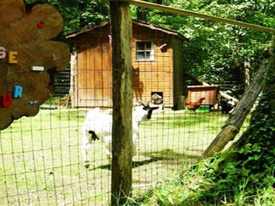 camping Du Bois De Beaumard photo 9