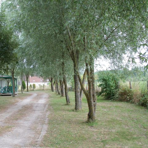 chalet - Sites Et Paysages - Les Saules photo 5