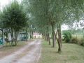 chalet - établissement Sites Et Paysages - Les Saules photo 5