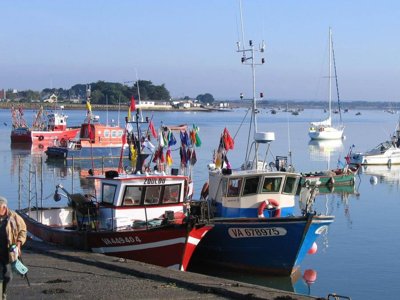 Cliquez pour découvrir toutes les photos de l'ÉTABLISSEMENT ! camping De La Plage photo 14