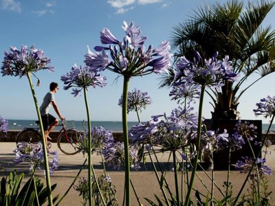 Cliquez pour découvrir toutes les photos de l'ÉTABLISSEMENT ! camping De La Plage photo 15