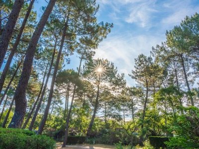 camping Les Goélands photo 27