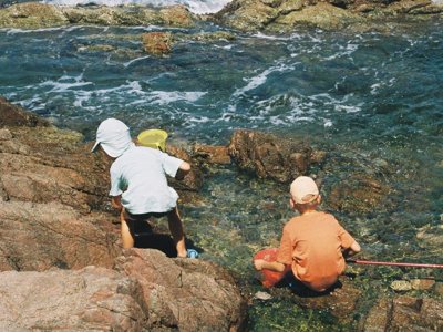 Cliquez pour découvrir toutes les photos de l'ÉTABLISSEMENT ! camping Du Menhir photo 25