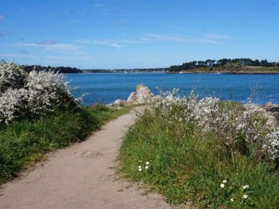 Cliquez pour découvrir toutes les photos de l'ÉTABLISSEMENT ! camping Du Menhir photo 28