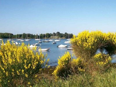 Cliquez pour découvrir toutes les photos de l'ÉTABLISSEMENT ! camping Du Menhir photo 29