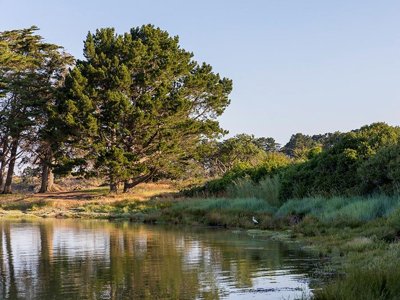Cliquez pour découvrir toutes les photos de l'ÉTABLISSEMENT ! camping Le Tindio photo 10
