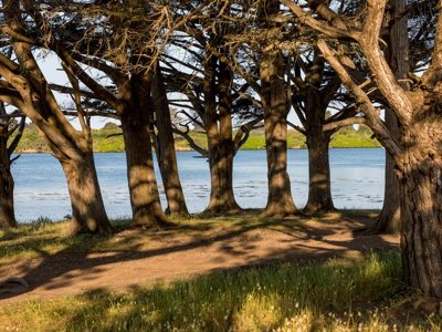 Cliquez pour découvrir toutes les photos de l'ÉTABLISSEMENT ! camping Le Tindio photo 21