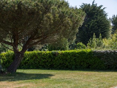 Cliquez pour découvrir toutes les photos de l'ÉTABLISSEMENT ! camping Le Tindio photo 26