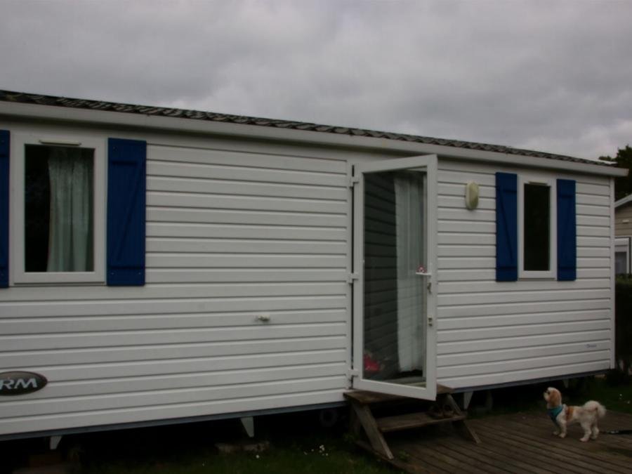 Camping Pas Cher vous présente avec son site Officiel campingpascher.fr, le Camping Paradis D'Arvor classé 3 étoiles, situé sur la commune de Ambon dans le département Morbihan (Bretagne) en France. Le camping Paradis D'Arvor, vous présente un hébergement de type mobil-home de 21 m² et télévision. Le camping Paradis D'Arvor vous propose du jeudi 02 juillet au jeudi 09 juillet 2026, en promotion à -27% pour 7 nuits à 313,65 € au lieu de 432,0 € soit une Économie de 118,35 €. Cette location propose 36 dates différentes pour réserver votre séjour. Découvrez également les 10 autres gammes d'hébergements du camping. Les Avis clients pour le Camping Paradis D'Arvor sont excellents avec une note moyenne de 8 sur 10. MerÉtang, Piscine couverte, Piscine extérieure, Animations familiales, Aire de jeux enfants, Baby-foot, Flipper, Paddle, Ping-pong, Piscine, Pétanque, Salle de jeux vidéo, Terrain de football, Bar, Boulangerie, Brasserie, Bureau de tabac, Snack/Bar, Supermarché, Épicerie,... En savoir plus : cliquez-ICI.