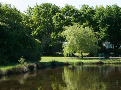 Cliquez pour découvrir toutes les photos de l'ÉTABLISSEMENT ! camping Paradis D'Arvor photo 16